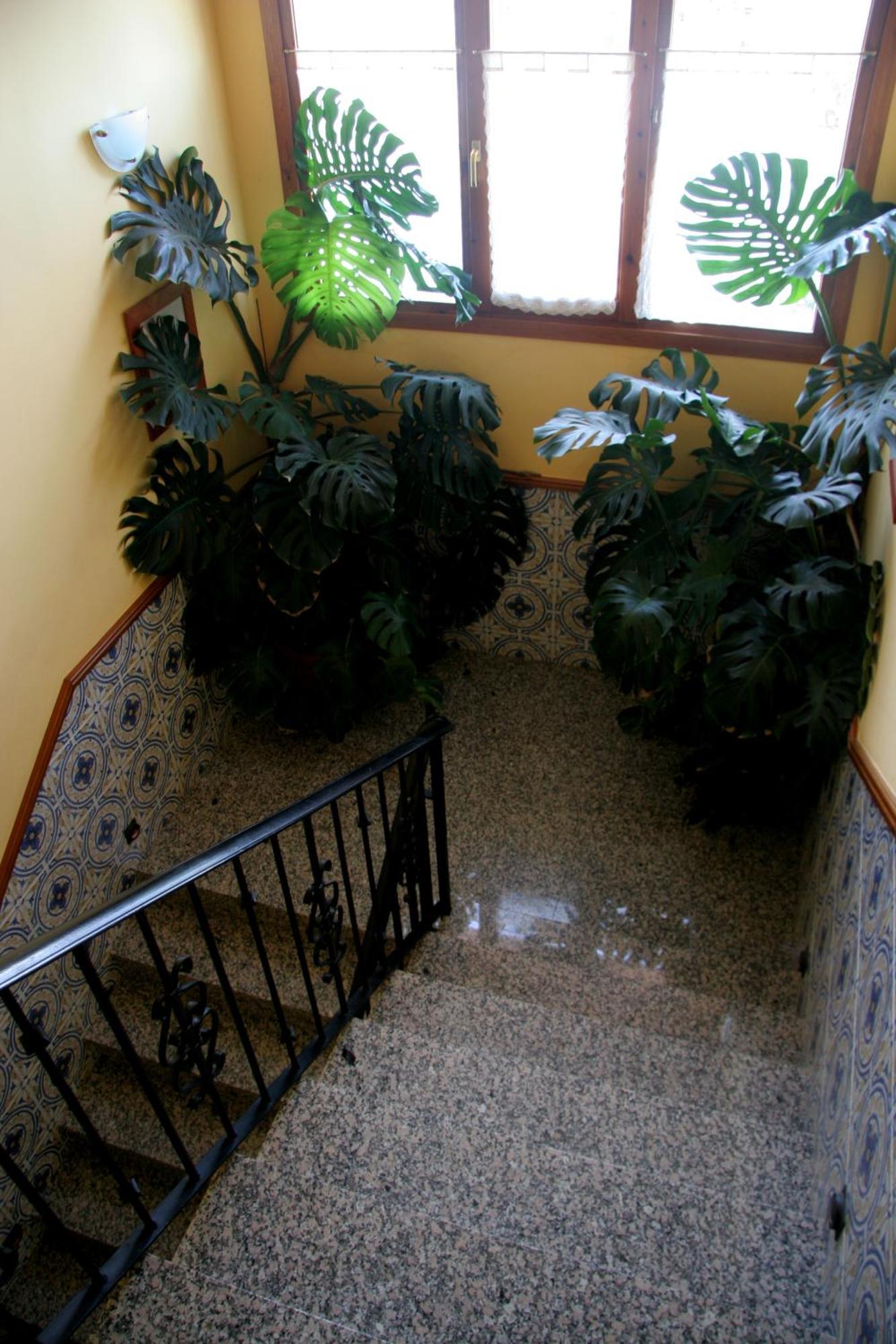 Hostal Casa Barranco Castejón del Puente Dış mekan fotoğraf
